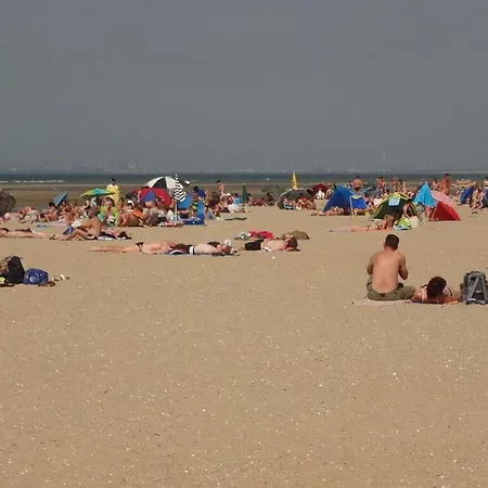 Huijsmansverhuur Type Premium De Mosselbank 115