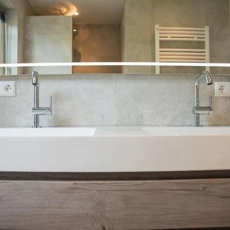 Vakantiehuis Huijsmansverhuur Type Premium De Mosselbank 115 *