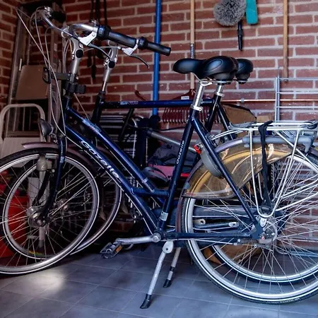 Huijsmansverhuur Type Premium De Mosselbank 115 Vakantiehuis *